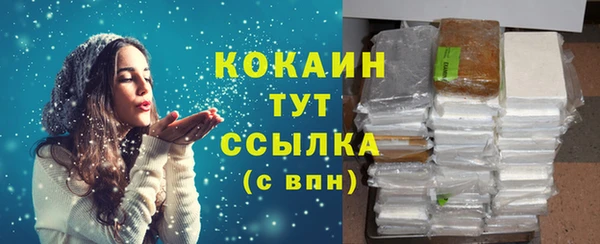 гашик Аркадак