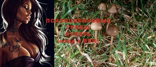 винт Арсеньев