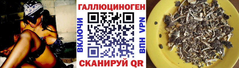 купить наркотики цена  blacksprut вход  Псилоцибиновые грибы Psilocybe  Среднеколымск 